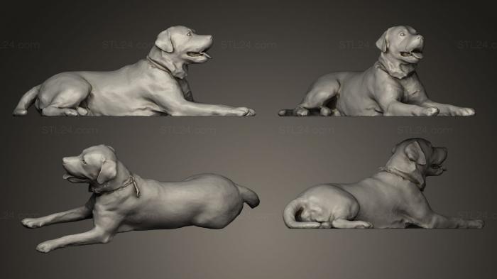 Animal figurines (DOG Fake Fur, STKJ_0246) 3D models for cnc